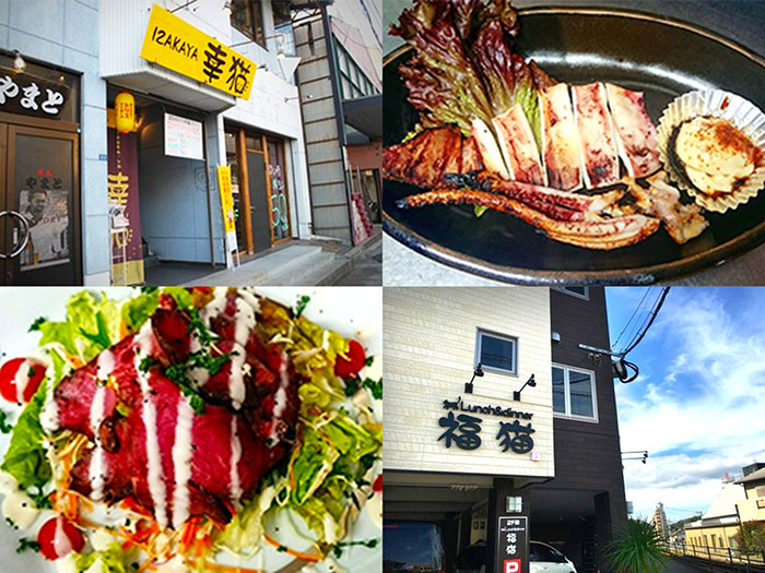 Lunch&dinner 幸猫＆福猫のセンキョ割イメージ