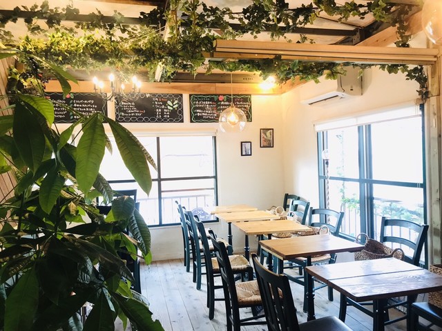 TradGras 薬酒BAR本店のセンキョ割