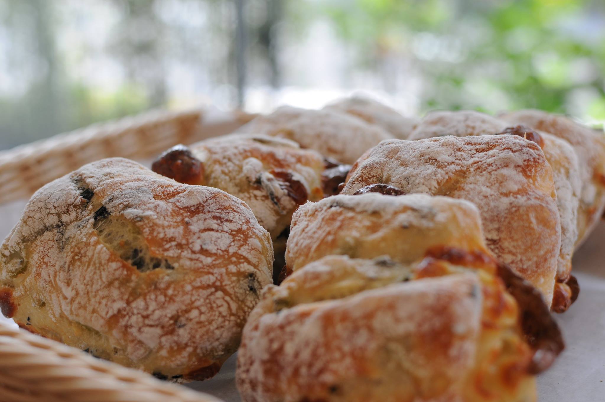 Viser Polaireのセンキョ割イメージ