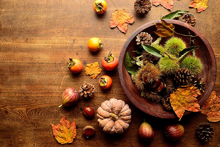 ショコロンファームのセンキョ割イメージ