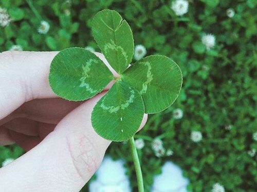 結婚相談所ハッピーハイウェイのセンキョ割イメージ