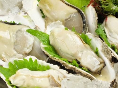 蠣鯖人酒 宇久のセンキョ割イメージ