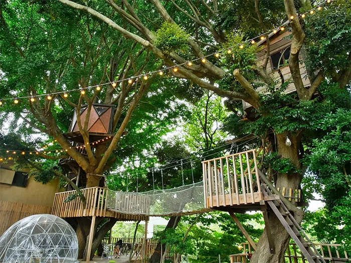 椿森コムナのセンキョ割イメージ