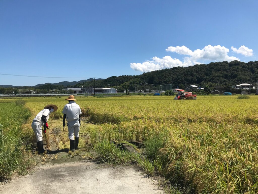 Thumbnail of post image 087